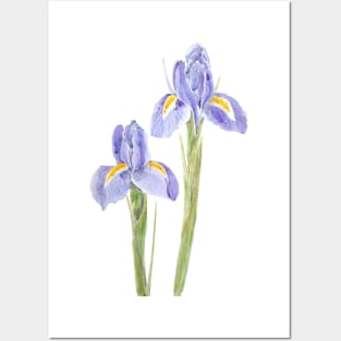 two elegant purple iris watercolor 2021 Posters and Art